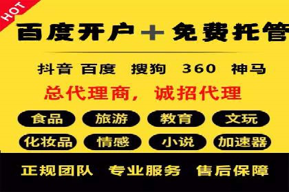 SEM代运营机构案例分析：优化策略与执行